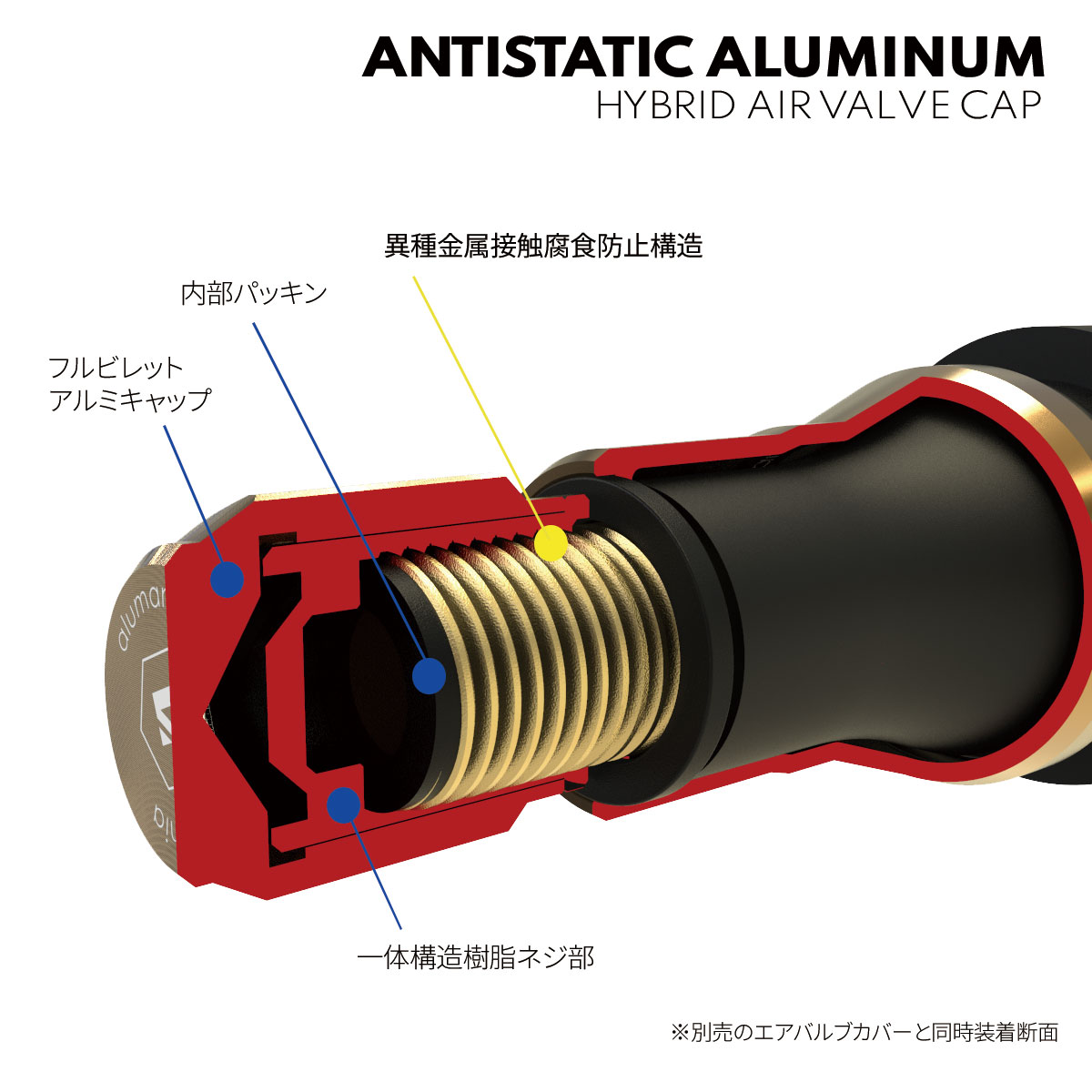 内部の断面構造